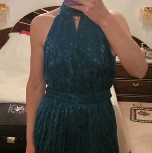 Anthropologie Turquoise Animal Print Dress